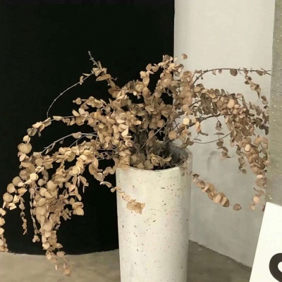 Furry色彩对比技巧福瑞群